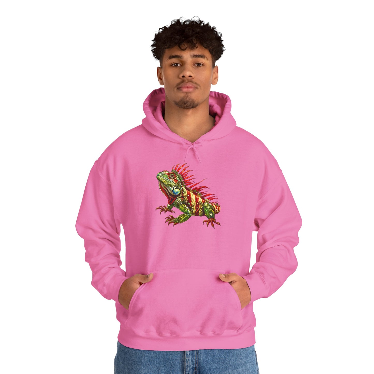 Flag Iguana Cozy Unisex Hooded Sweatshirt with Bold Print - Great for Reptile Lovers